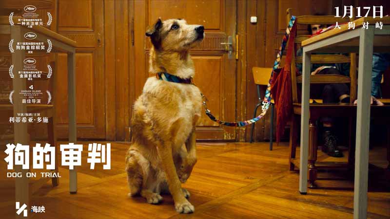 海映电影《狗的审判》今日官宣定档 斩获狗狗金棕榈征服金椰奖